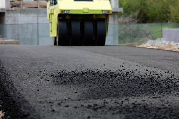 Best Driveway Pavers Cost  in Hazlehurst, GA
